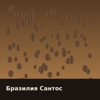 Бразилия Сантос